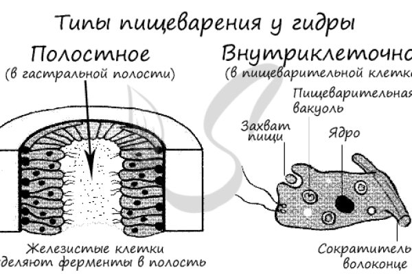 Тор blacksprut blacksprut cam bs2web top