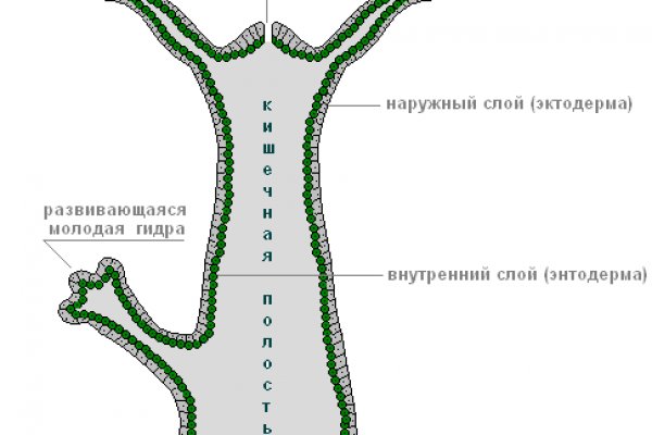 Clear ссылка на blacksprut