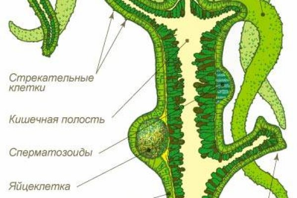 Как пройти капчу на блэкспруте