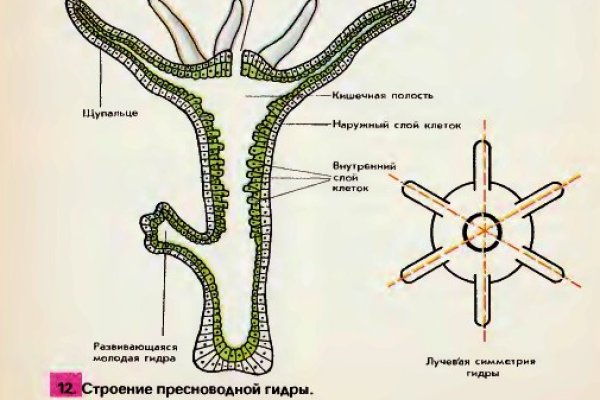 Рабочая ссылка на блэкспрут bs2webes net